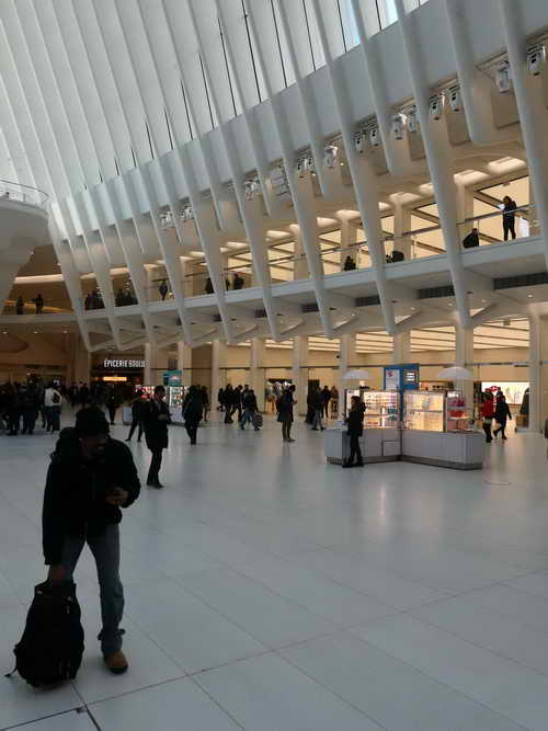 NYC_2020-01-29 13-34-07_P1080595